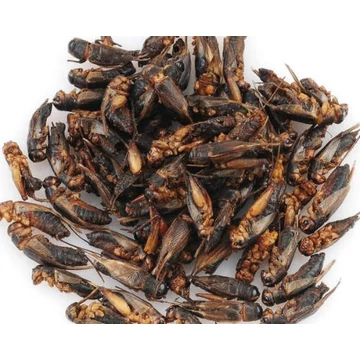 Trópus Dried Grasshopper kiegészítő eleség (szárított szöcske) rágcsálók,madarak, sünik és hüllők részére 40g Trópus Dried Grasshopper kiegészítő eleség (szárított szöcske) rágcsálók,madarak, sünik és hüllők részére 40g