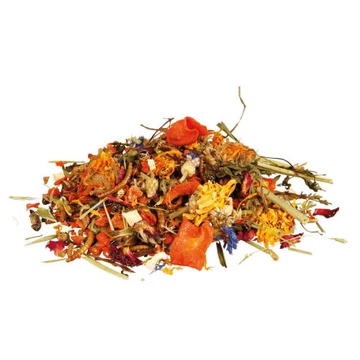 Trixie Natural Food Mixture for Bearded Dragons kiegészítő eleség (lisztkukac,rost,szöcske) szakállas agámák részére 100g Trixie Natural Food Mixture for Bearded Dragons kiegészítő eleség (lisztkukac,rost,szöcske) szakállas agámák részére 100g