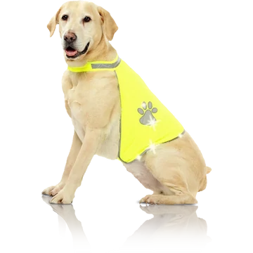 Pawise kutya láthatósági mellény L Pawise kutya láthatósági mellény L