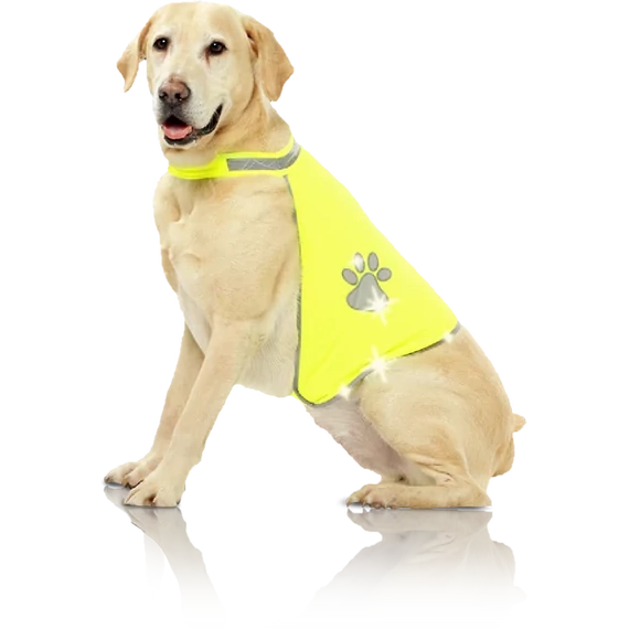 Pawise kutya láthatósági mellény S