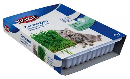 Trixie CatGrass Box - Dobozos macskafű 100 g