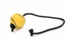 Dogtech 6cm átmérőjű szivacs labda