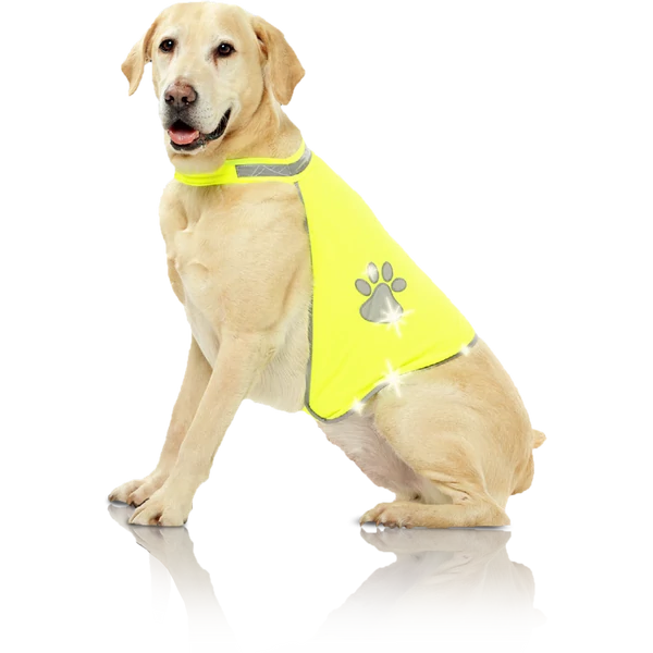 Pawise kutya láthatósági mellény S